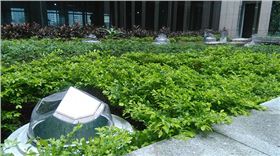 廣發(fā)銀行光導照明應(yīng)用