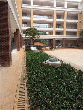 長沙紅橋中學(xué)光導(dǎo)