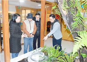 雙模式無(wú)電照明系統(tǒng) 雙模式無(wú)電照明系統(tǒng)